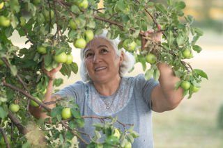 Paid work is there for the picking