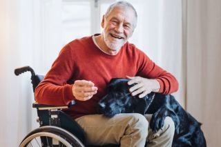 The time of your life