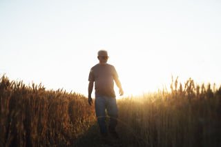 Media Release: How older people can help meet net zero