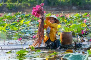 Vietnam Signature Experience