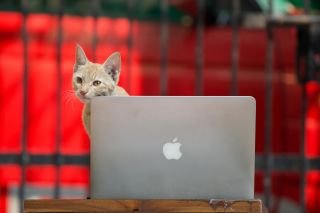 Why beating the market is so hard