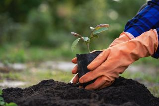 Council Rates - Get the rebates you're entitled to