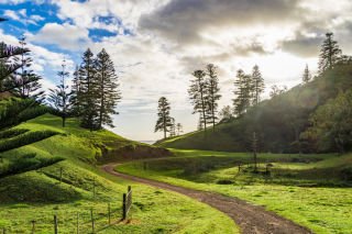 Norfolk Island Garden Week  - Springtime in Paradise