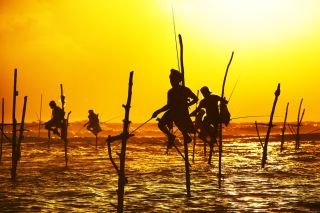 Sri Lanka & Singapore Escorted Group Tour