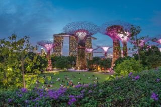Singapore Escape Gardens & Culture