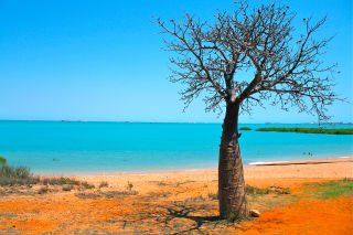 National Seniors Travel