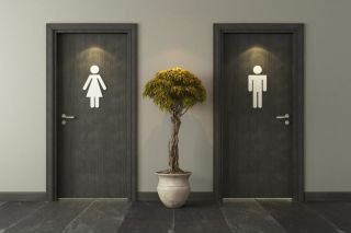 Lifting the lid on toilet hygiene