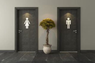 Lifting the lid on public toilets  