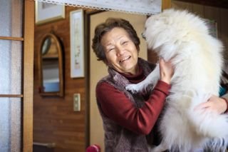 Which pet is best for dementia patients?