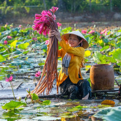 Vietnam Signature Experience