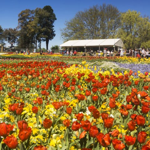 Southern Highlands - Canberra Discovery Escorted