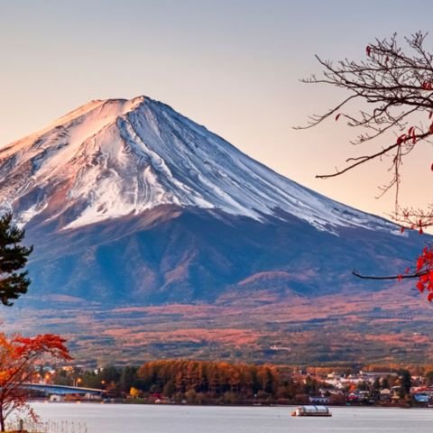 Spirit of Japan Autumn Landscapes & Live Sumo