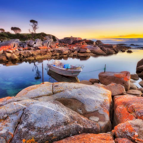Tasmania’s Bay of Fires - Walk Experience