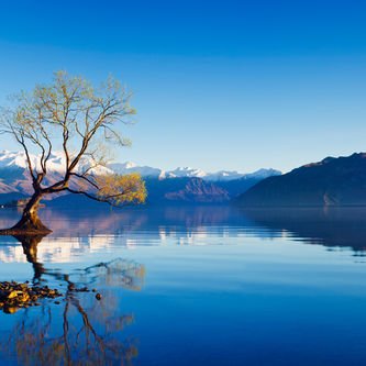 11 Day Signature South Island Christmas