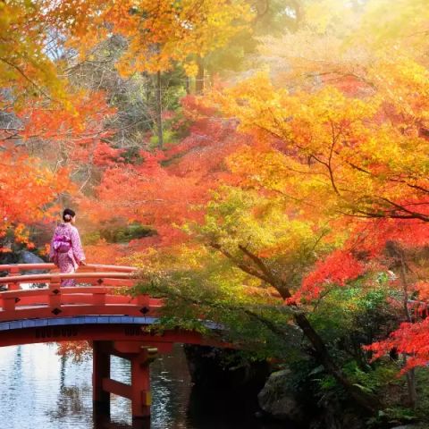 Save up to $1,000 with Wonderlust Sale