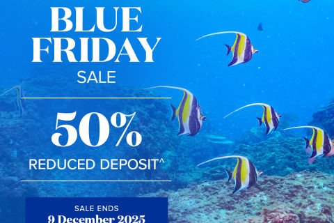 Princess Blue Friday Sale