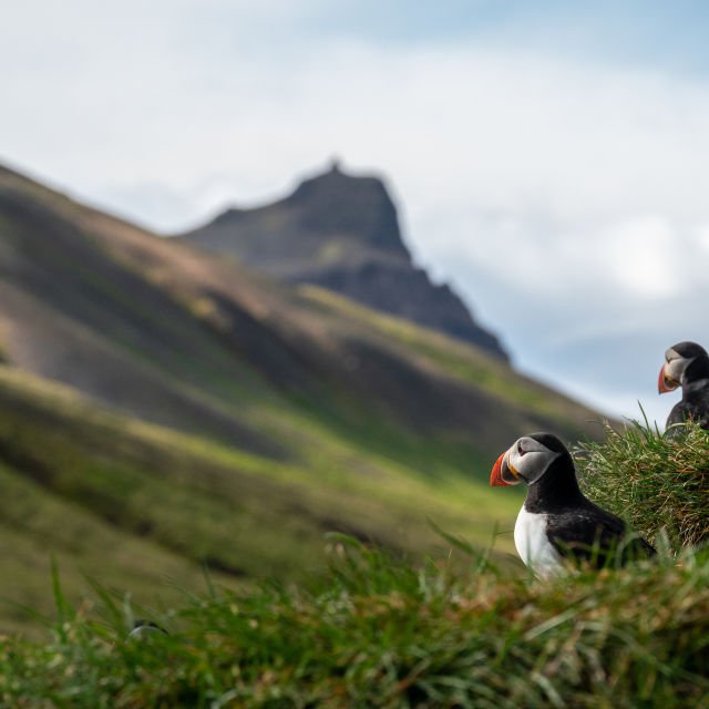 November Travel Talk 